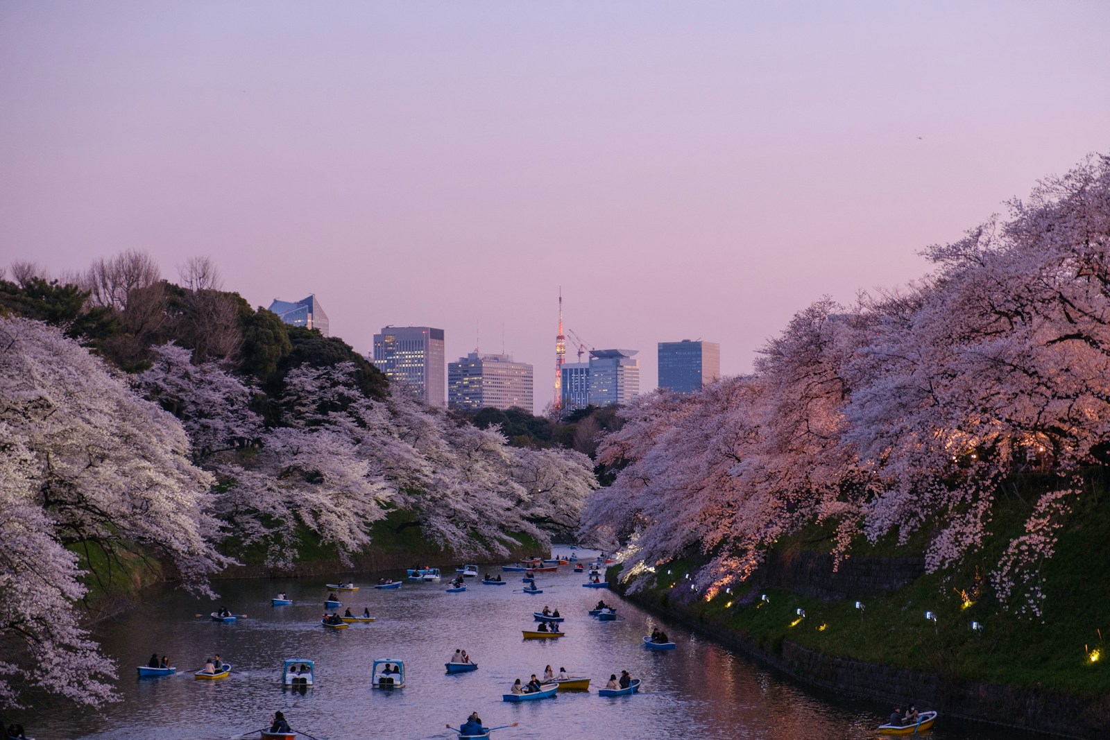 Planning Your First Trip to Japan: An Insider&#8217;s Guide