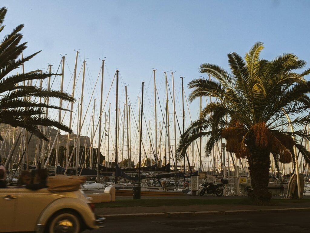 a car driving down a street next to a palm tree